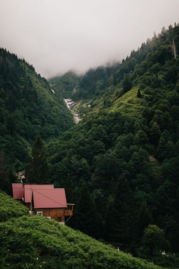 Borjomi cottages